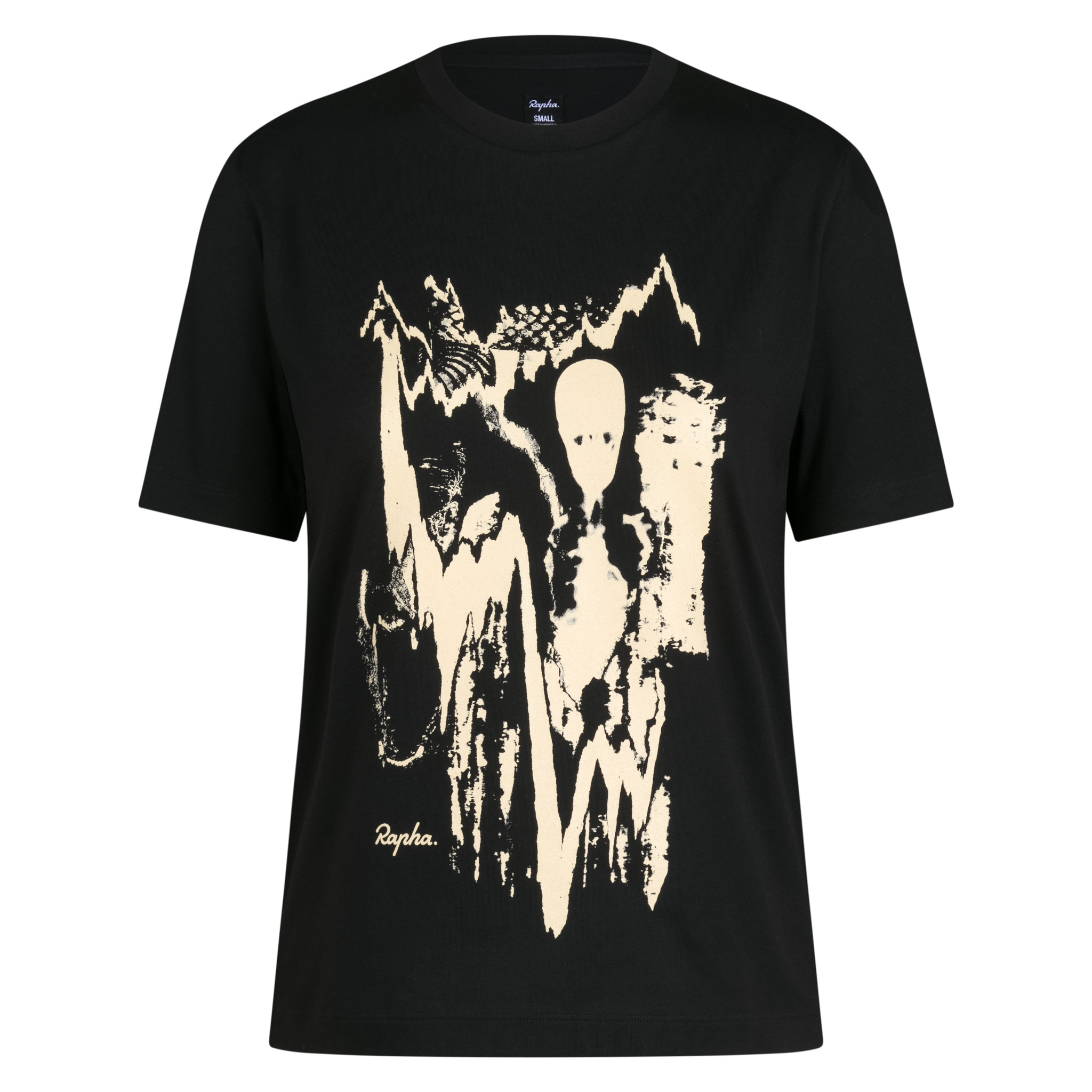Santa Cruz htSQD Women's T-Shirt Multicolour