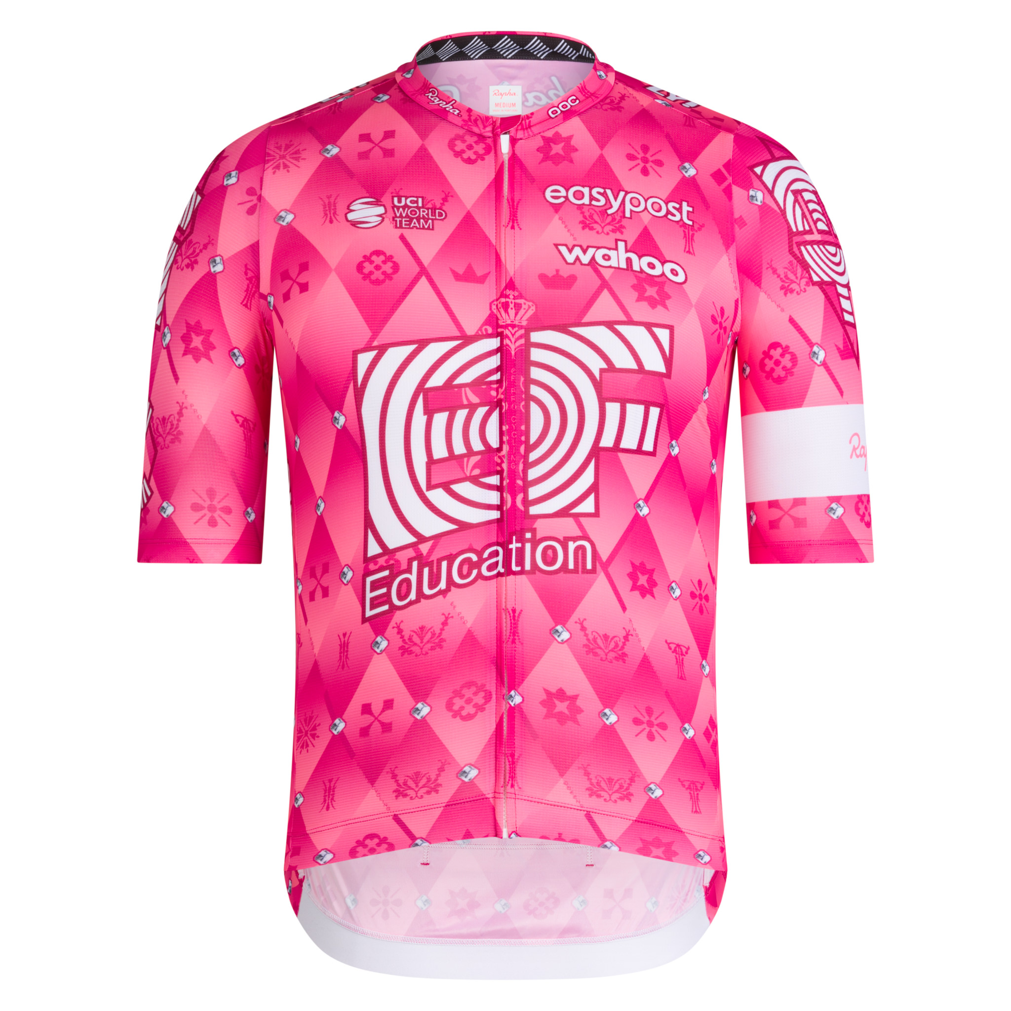 EF Education - EasyPost Men's Pro Team Training Jersey Multicolour