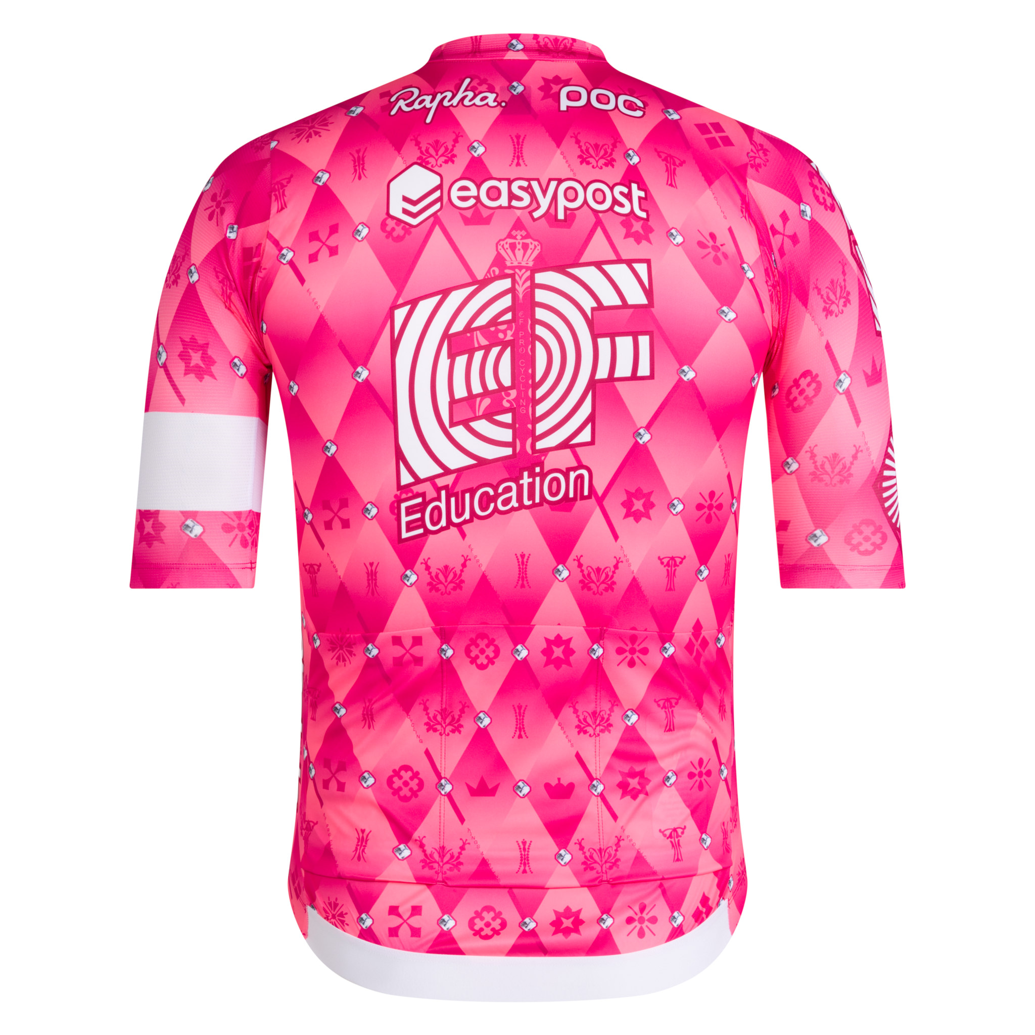 EF Education - EasyPost Men's Pro Team Training Jersey Multicolour